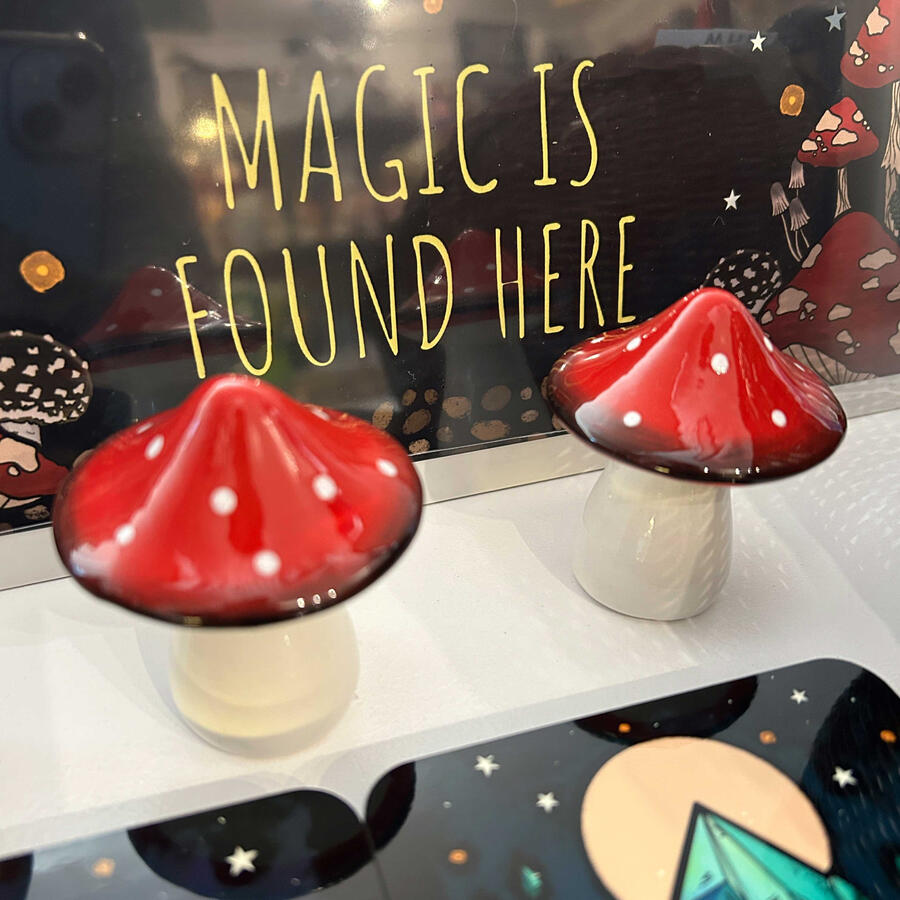 Mushroom Mushroom